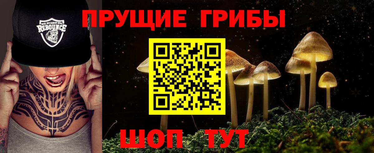 Юрга  Псилоцибиновые грибы мицелий  Вход с VPN 
