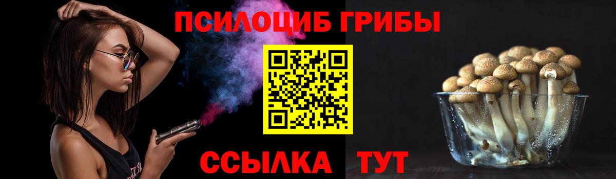 Псилоцибиновые грибы GOLDEN TEACHER Юрга